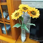 Apartman Tres Girasoles Cádiz
