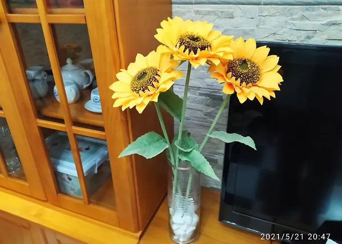 Apartamento Tres Girasoles Cádiz